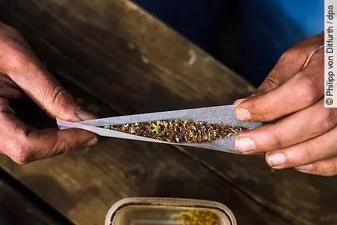 Cannabis-Schattenseiten: Psychosen, Entzug, Abhängigkeit