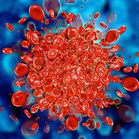Erythrozyten in Blutgefäß