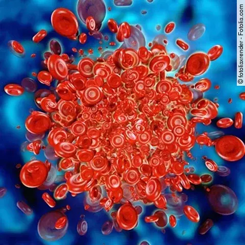 Erythrozyten in Blutgefäß