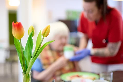 Tag der Pflege: Warken setzt auf mehr Eigenverantwortung und bessere Bedingungen in der Pflege