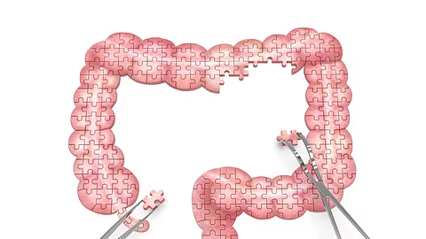 Large intestine puzzle concept