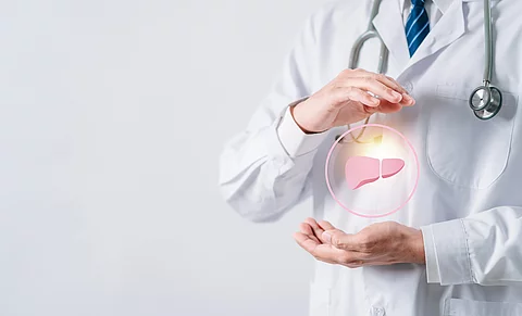 Die normotherme Lebermaschinenperfusion (NLMP) - in der Klinik angekommen