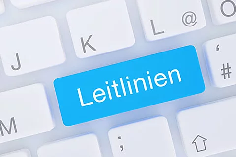 Taste "Leitlinien" auf einer Computertastatur
